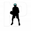 New NP Logo Black on White 2